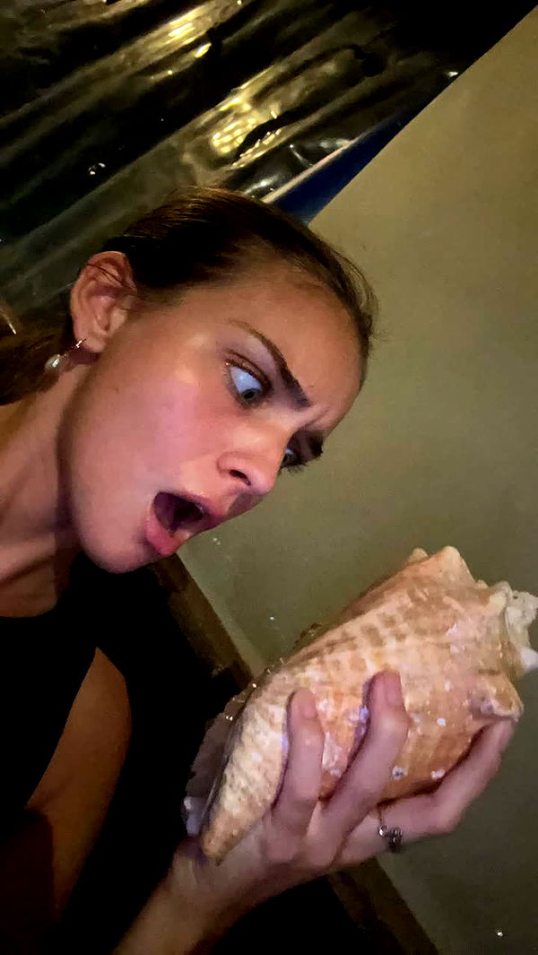 soph4ocean image ~ Altpins