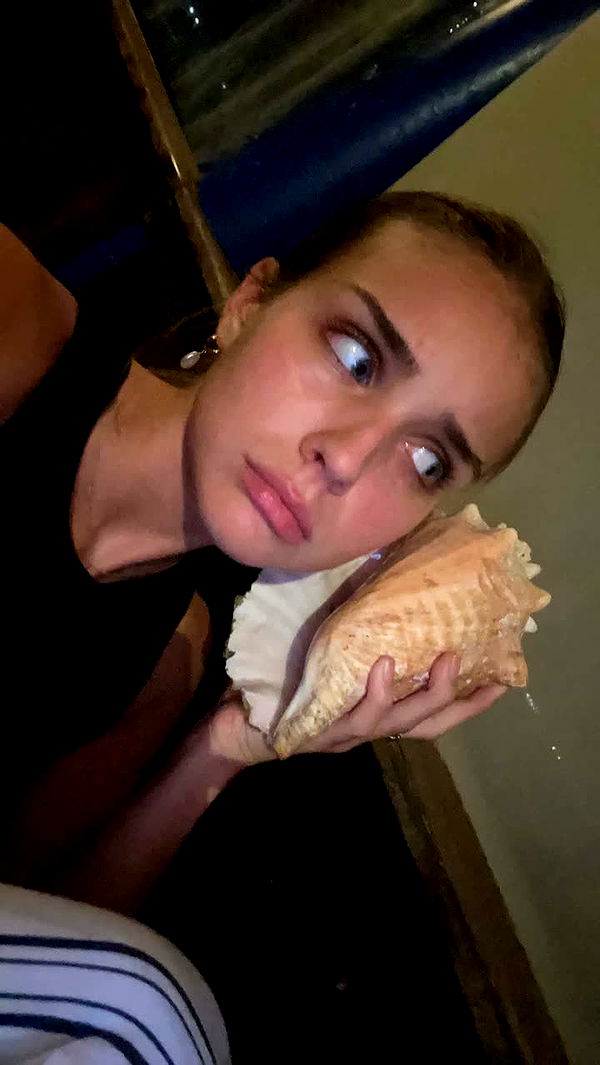 soph4ocean image ~ Altpins