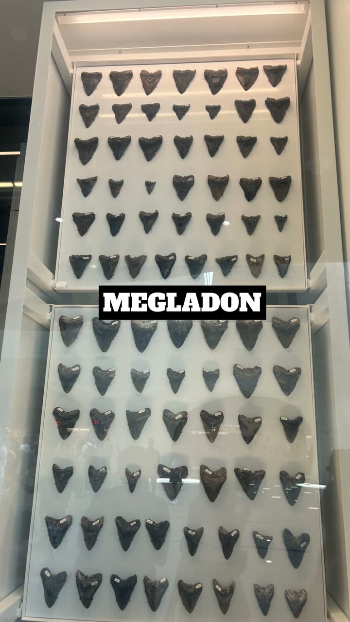 soph4ocean snapchat image archive image