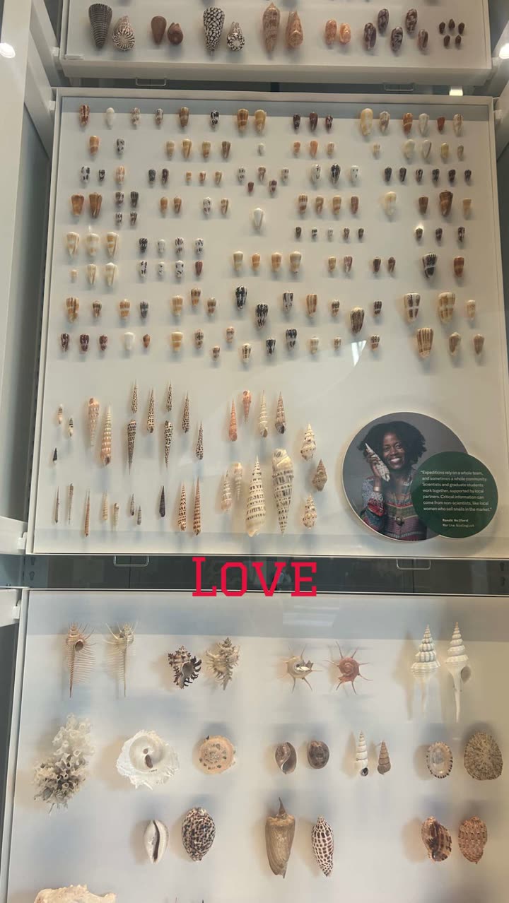 soph4ocean snapchat image archive image