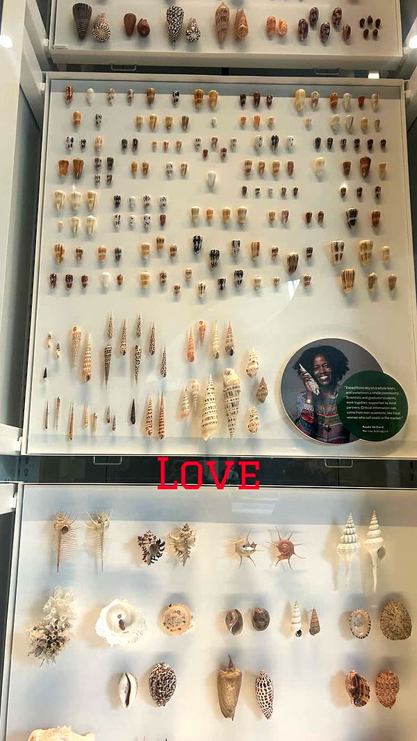 soph4ocean image ~ Altpins