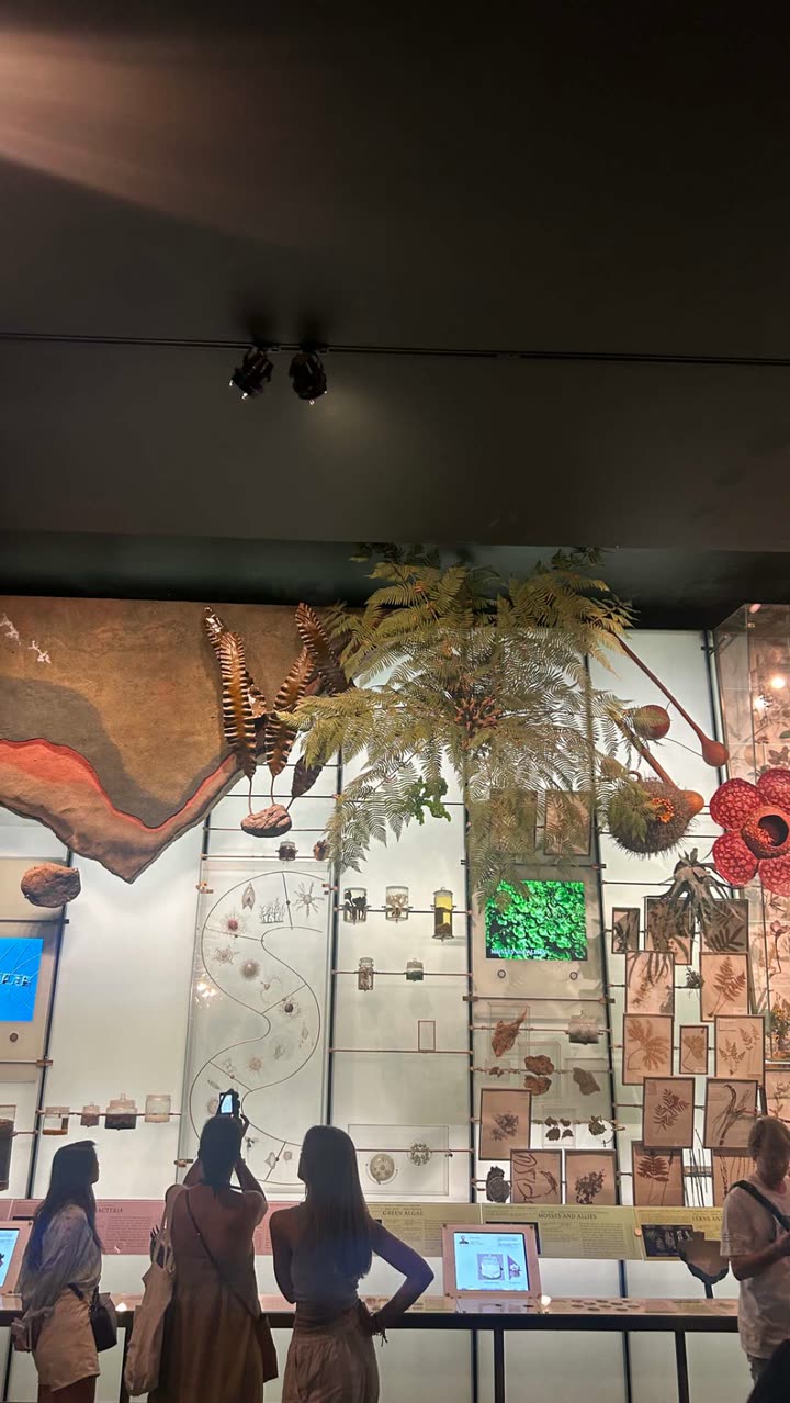 soph4ocean snapchat image archive image