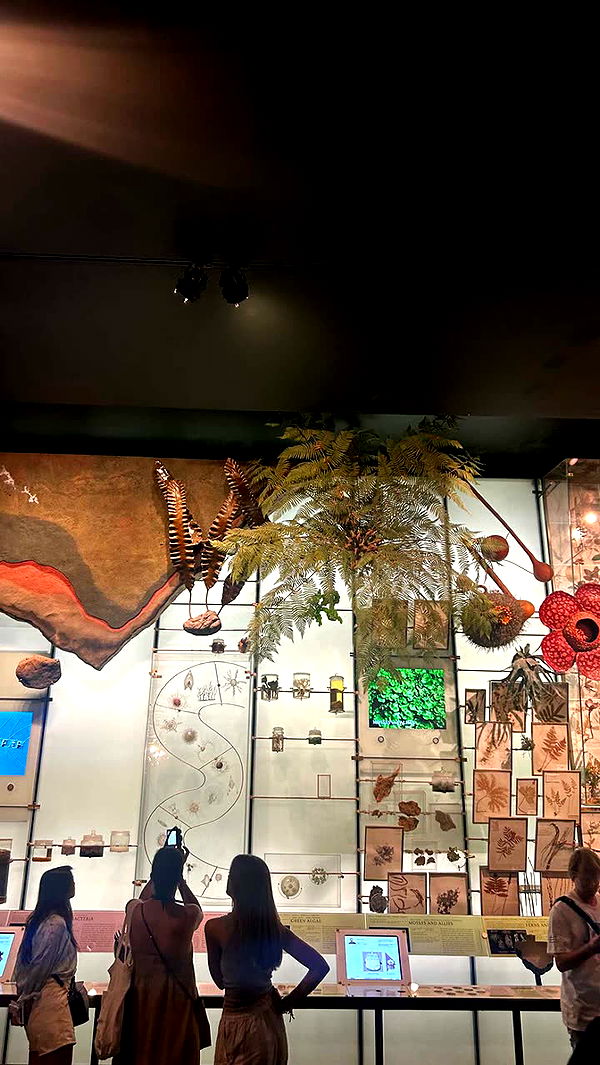 soph4ocean image ~ Altpins