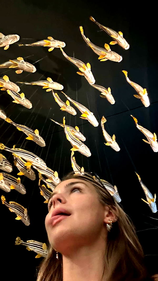 soph4ocean image ~ Altpins