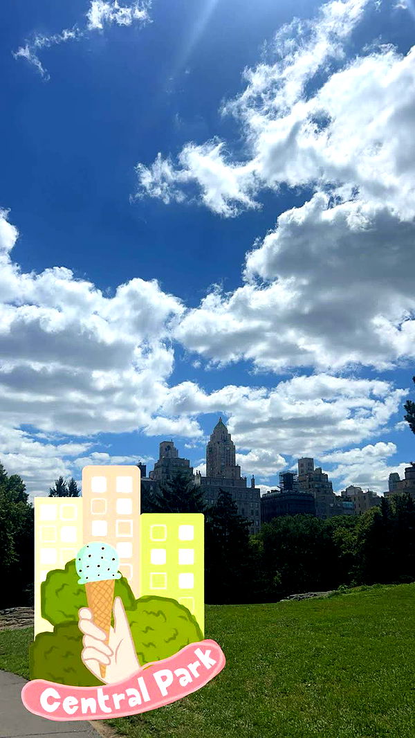 soph4ocean image ~ Altpins