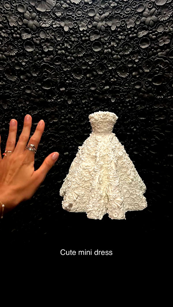 soph4ocean image ~ Altpins