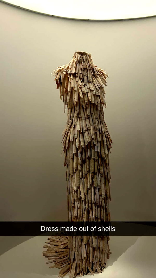 soph4ocean image ~ Altpins