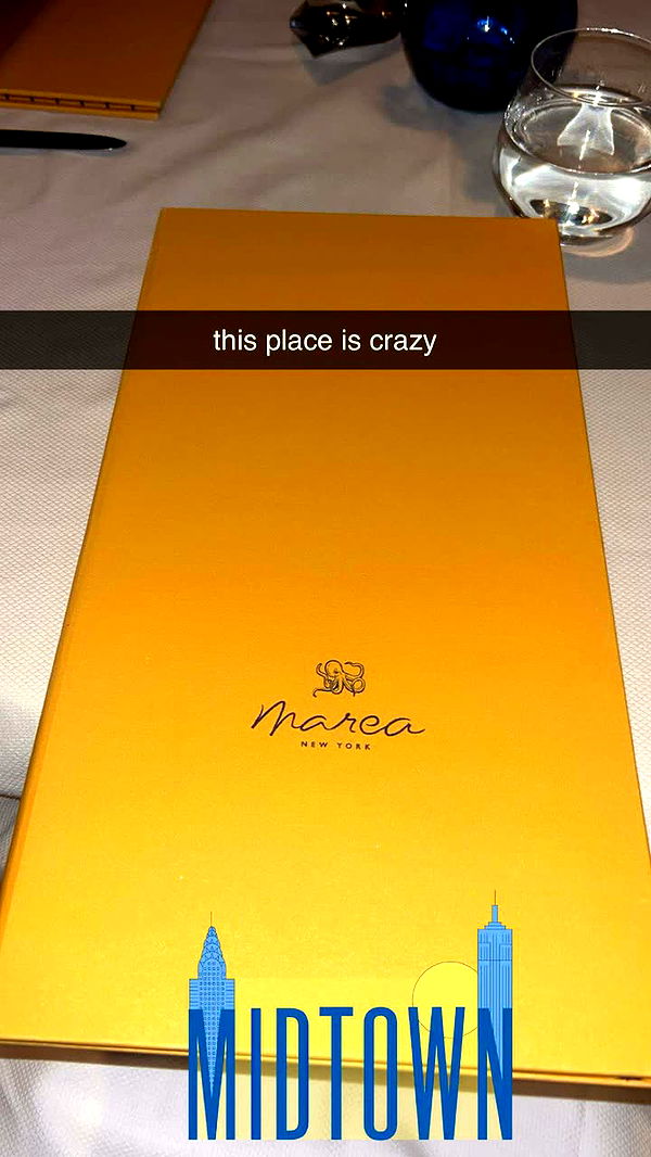 soph4ocean image ~ Altpins