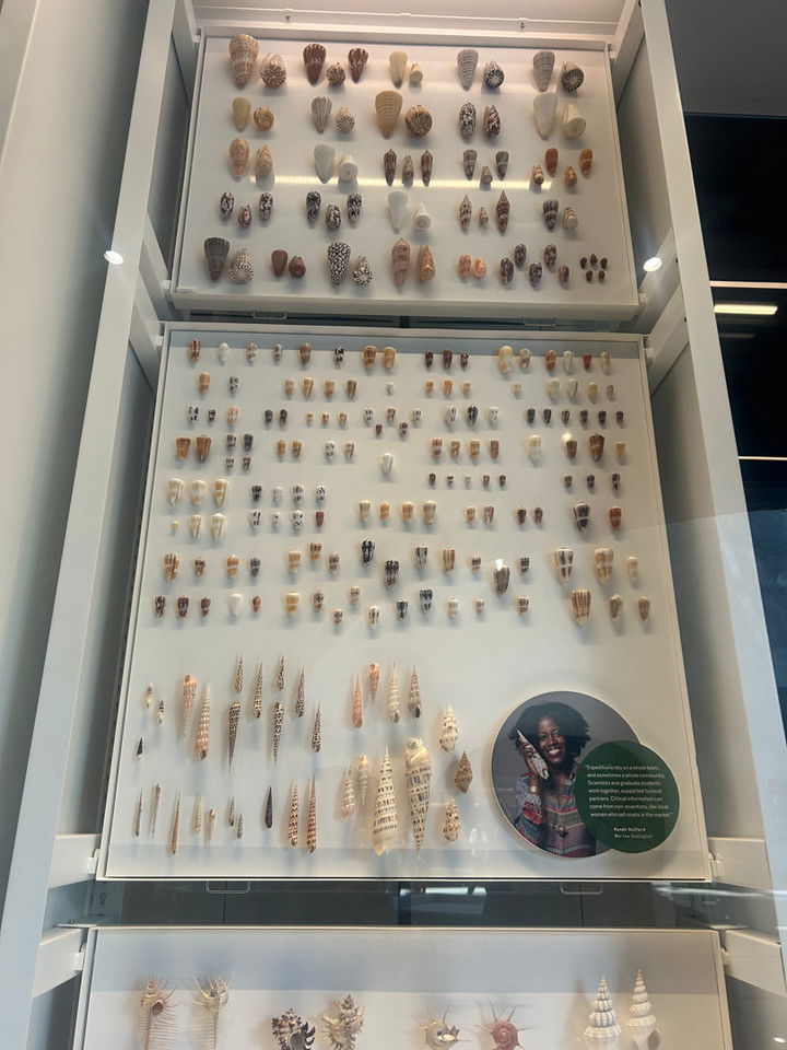 soph4ocean snapchat image archive image