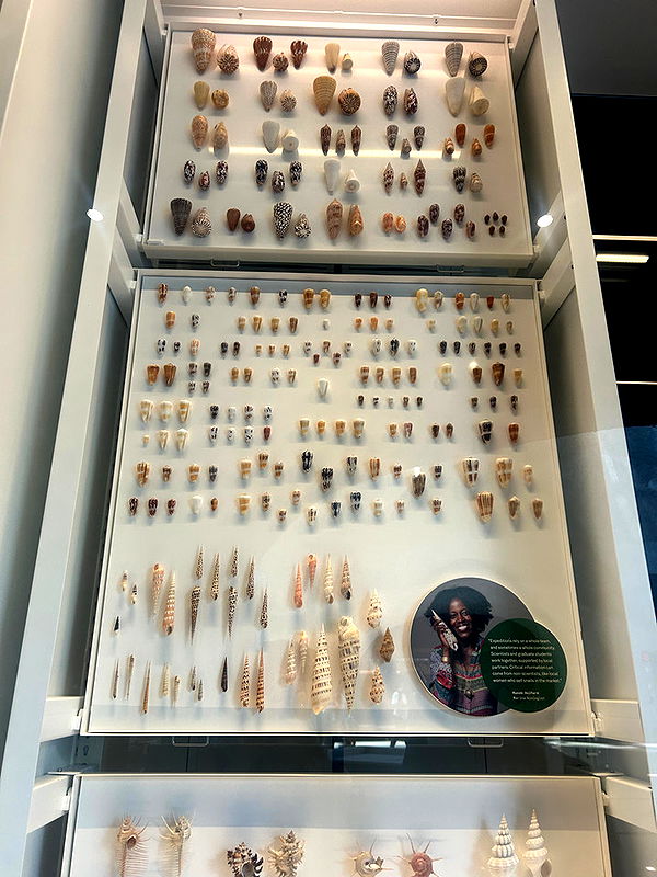 soph4ocean image ~ Altpins