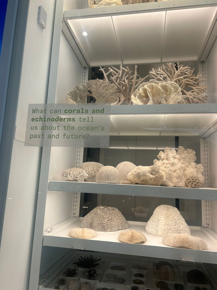 soph4ocean snapchat image archive image