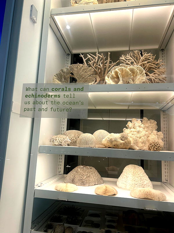 soph4ocean image ~ Altpins