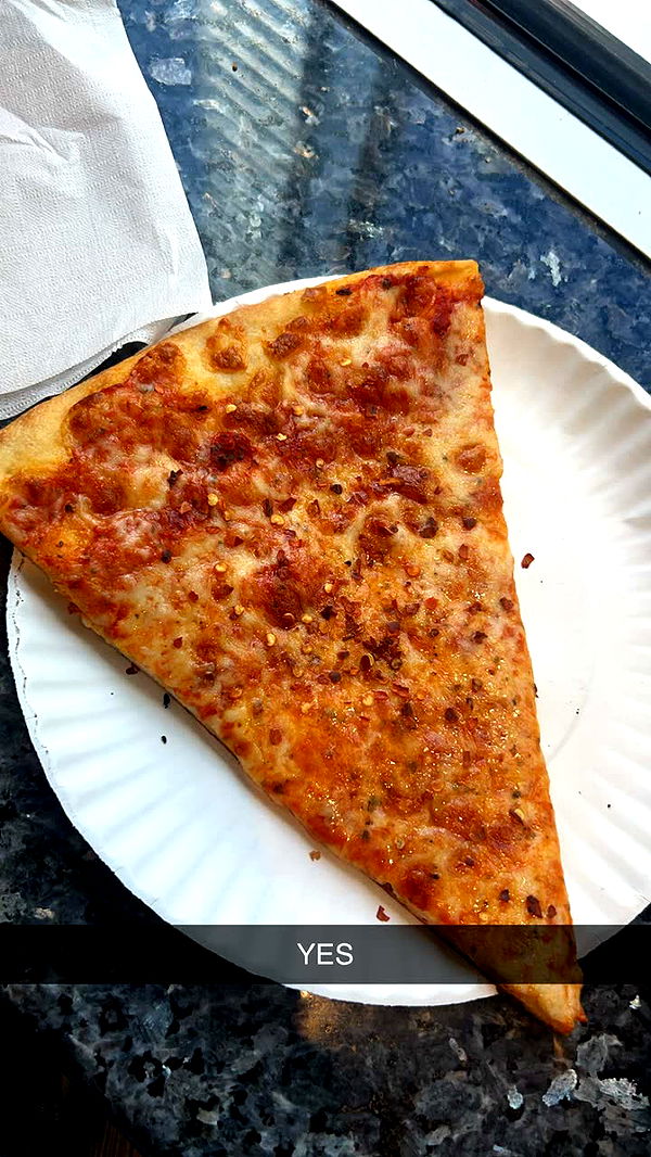 soph4ocean image ~ Altpins