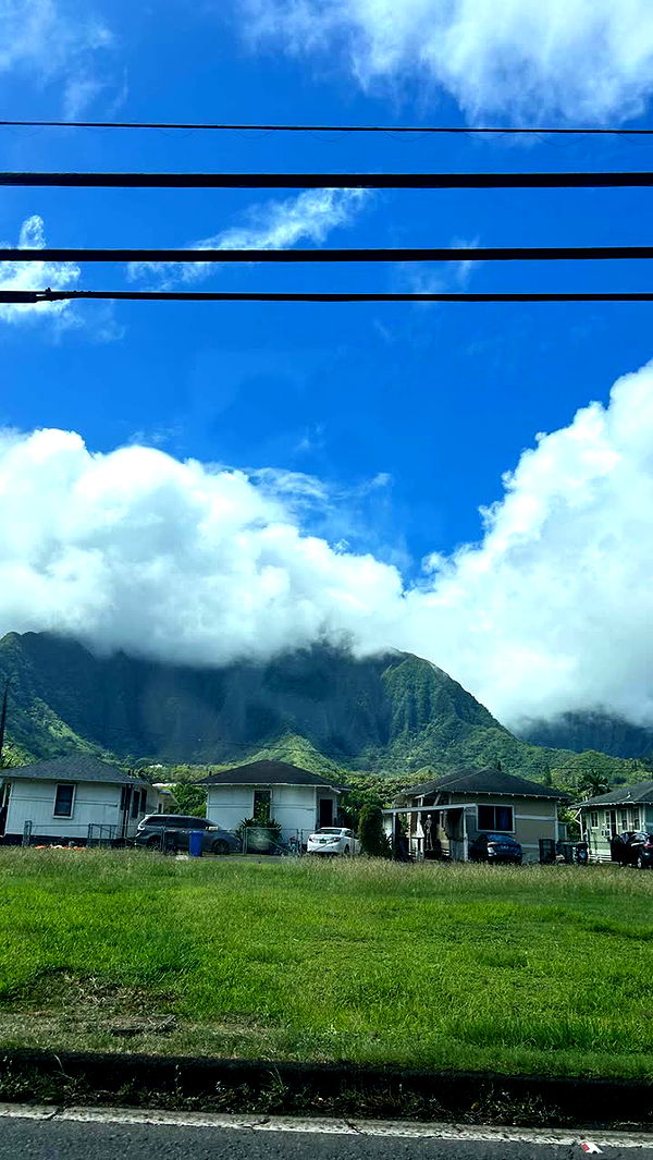 soph4ocean image ~ Altpins