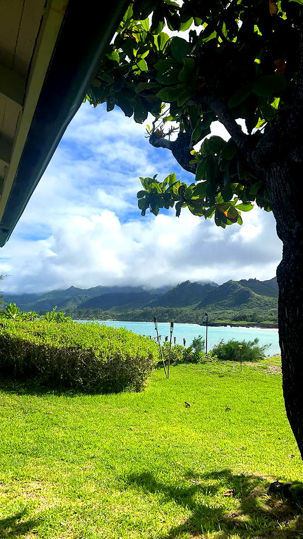 soph4ocean image ~ Altpins