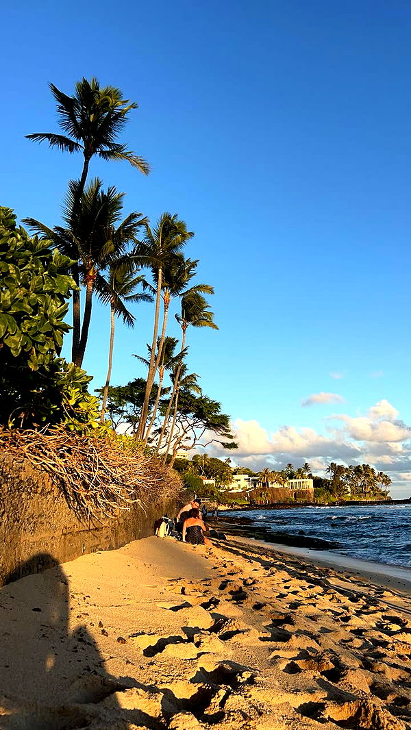 soph4ocean image ~ Altpins