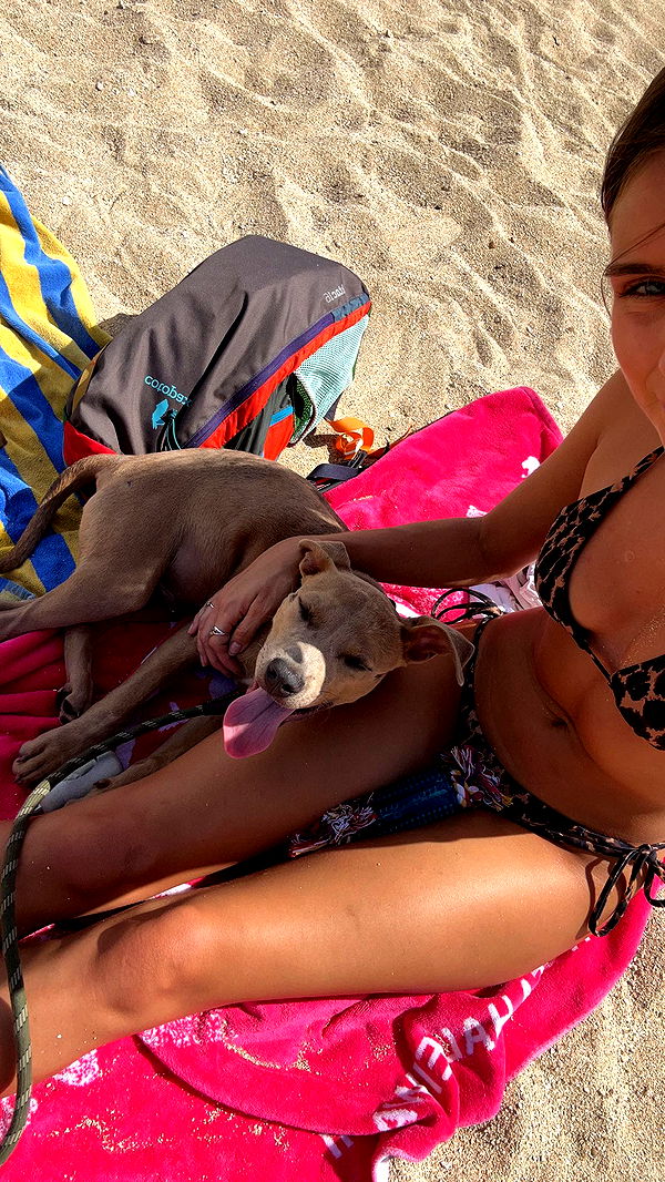 soph4ocean image ~ Altpins