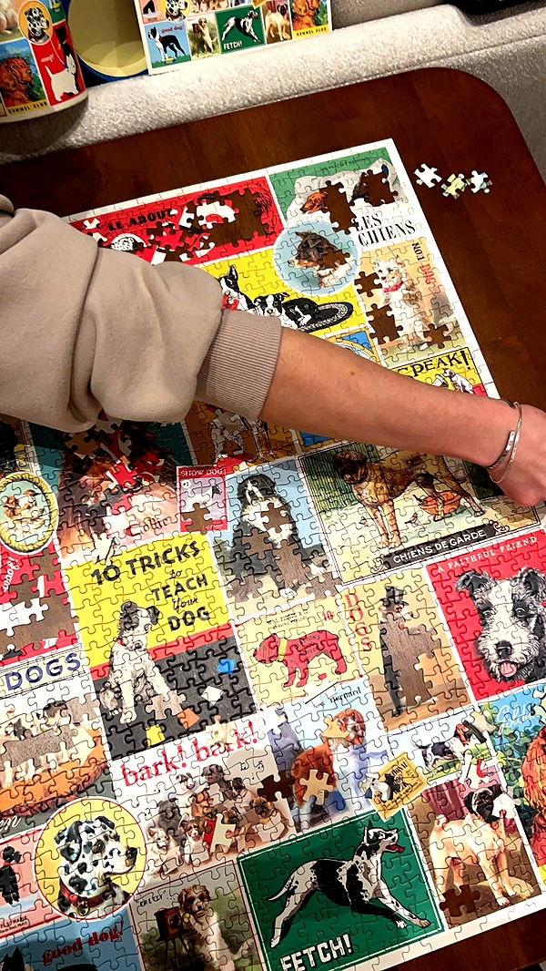 soph4ocean image ~ Altpins