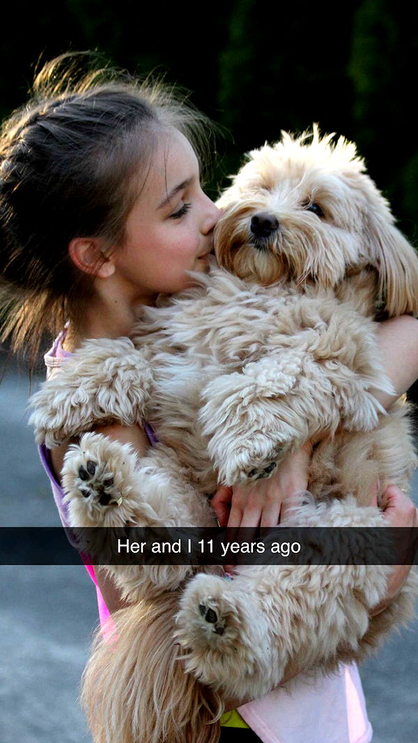 soph4ocean image ~ Altpins