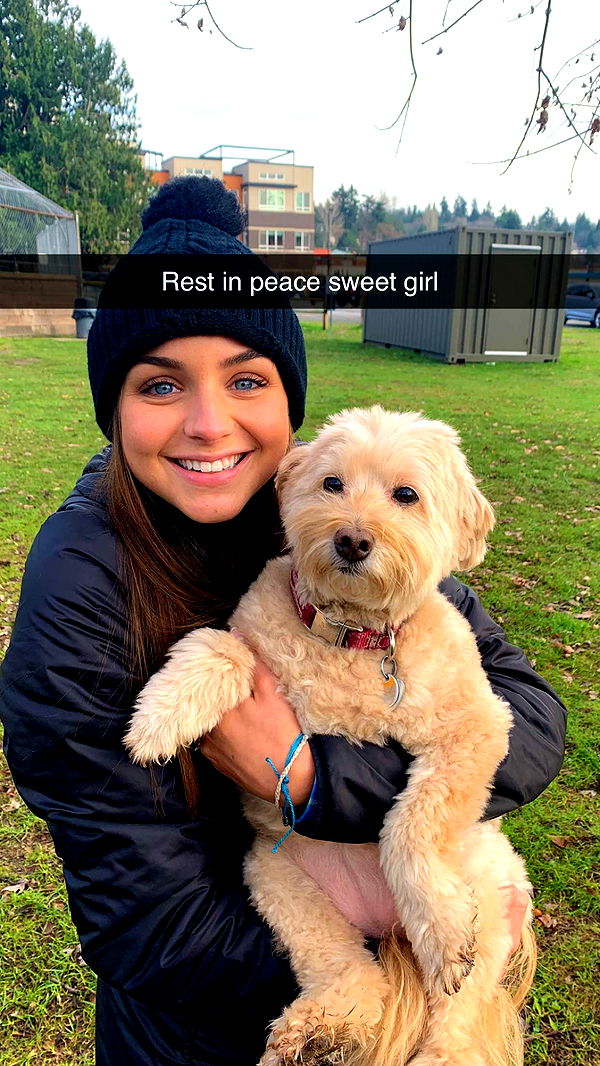 soph4ocean image ~ Altpins