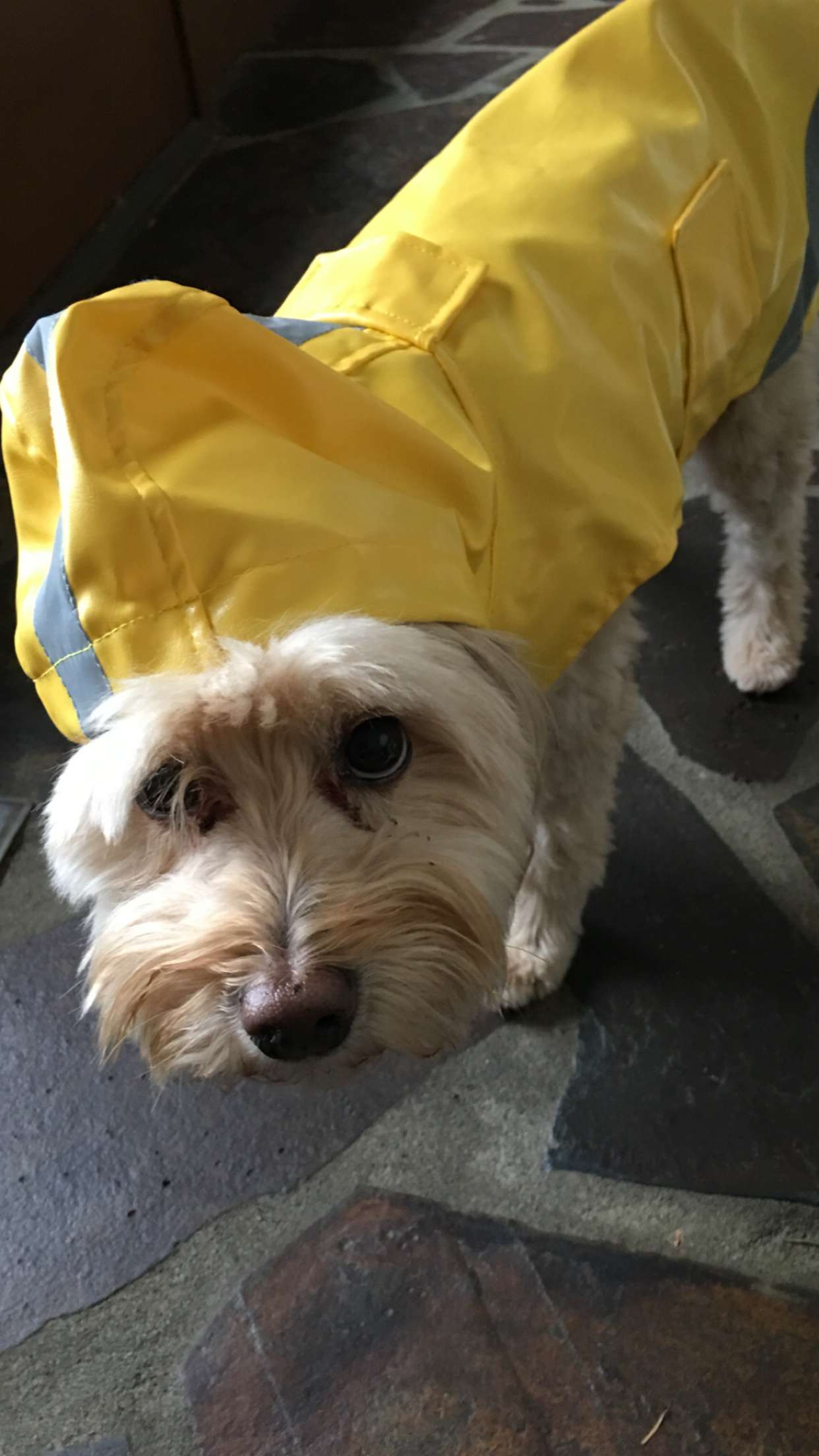 soph4ocean snapchat image archive image