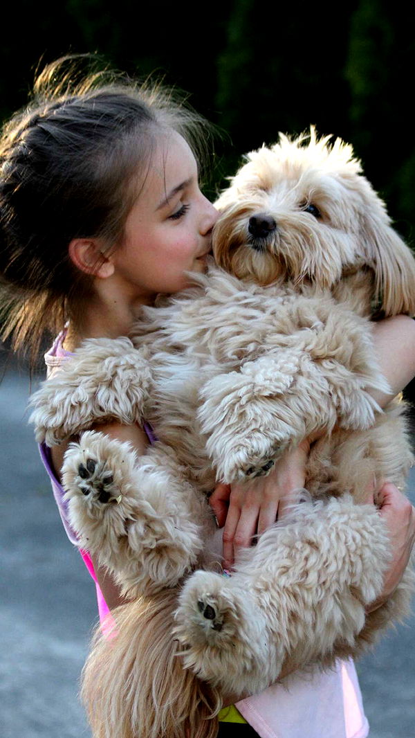 soph4ocean image ~ Altpins