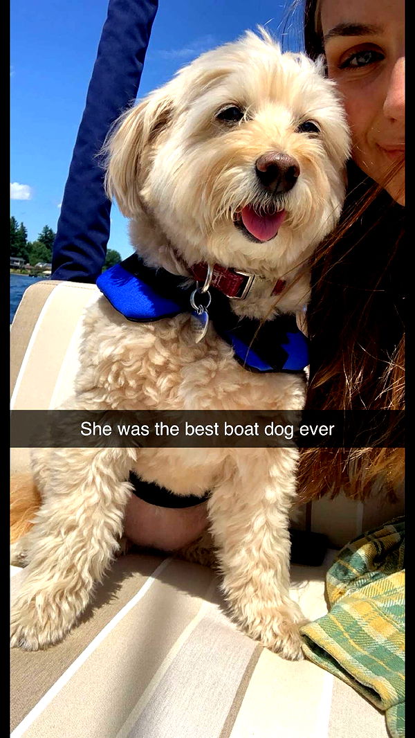 soph4ocean image ~ Altpins