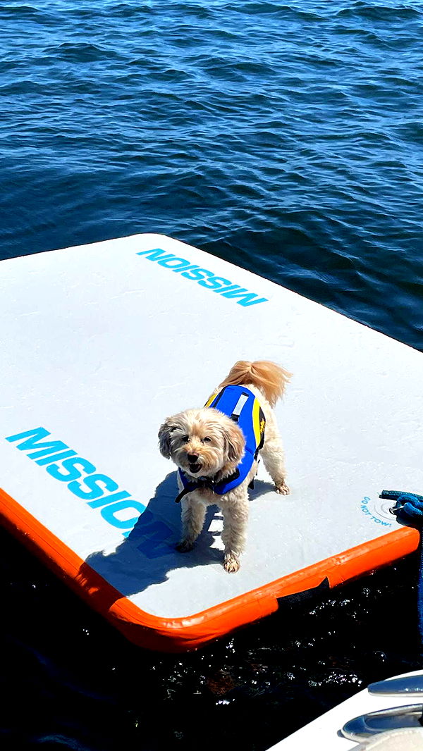 soph4ocean image ~ Altpins