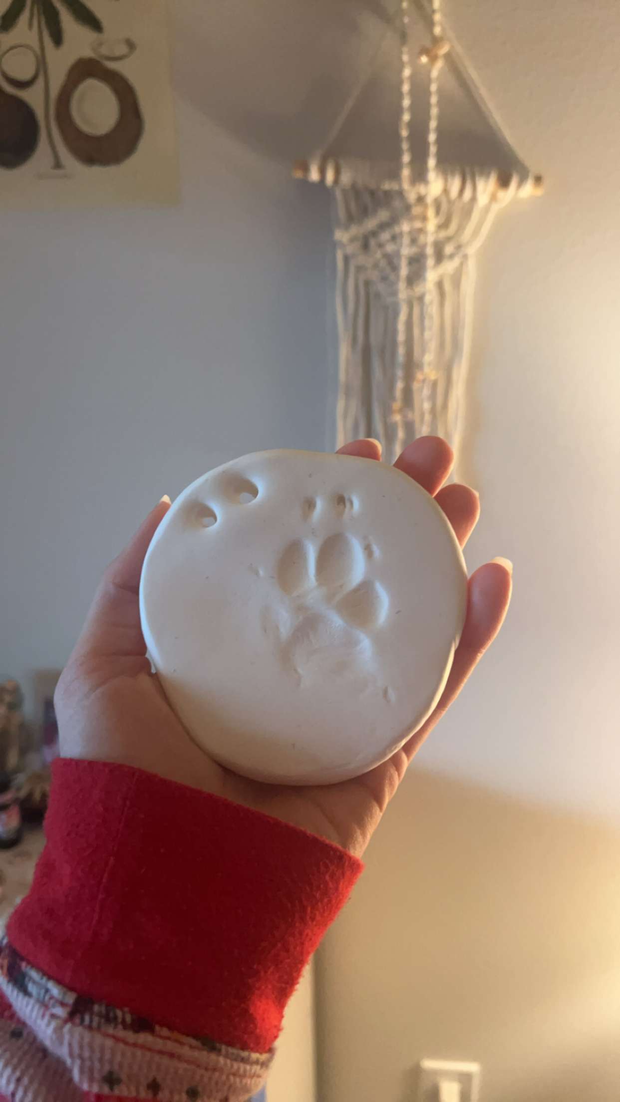 soph4ocean snapchat image archive image