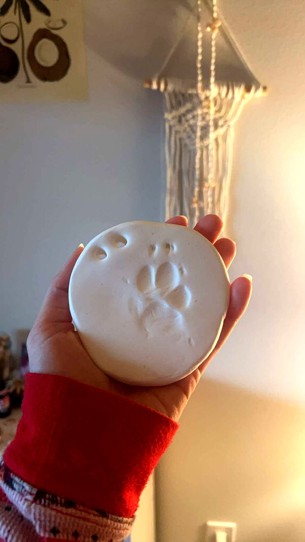 soph4ocean image ~ Altpins