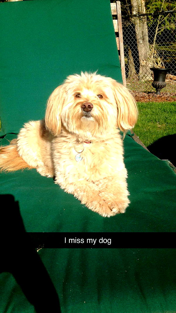 soph4ocean image ~ Altpins