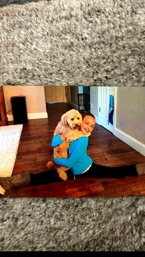 soph4ocean image ~ Altpins