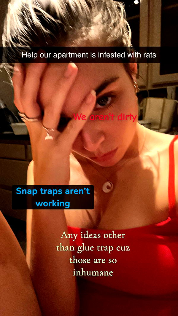 soph4ocean image ~ Altpins