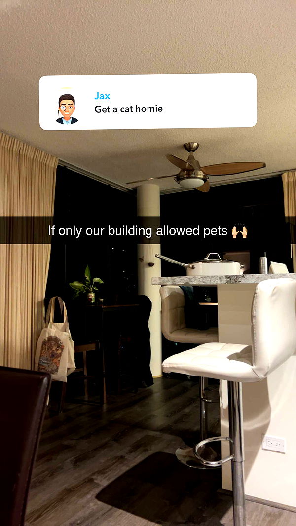 soph4ocean image ~ Altpins