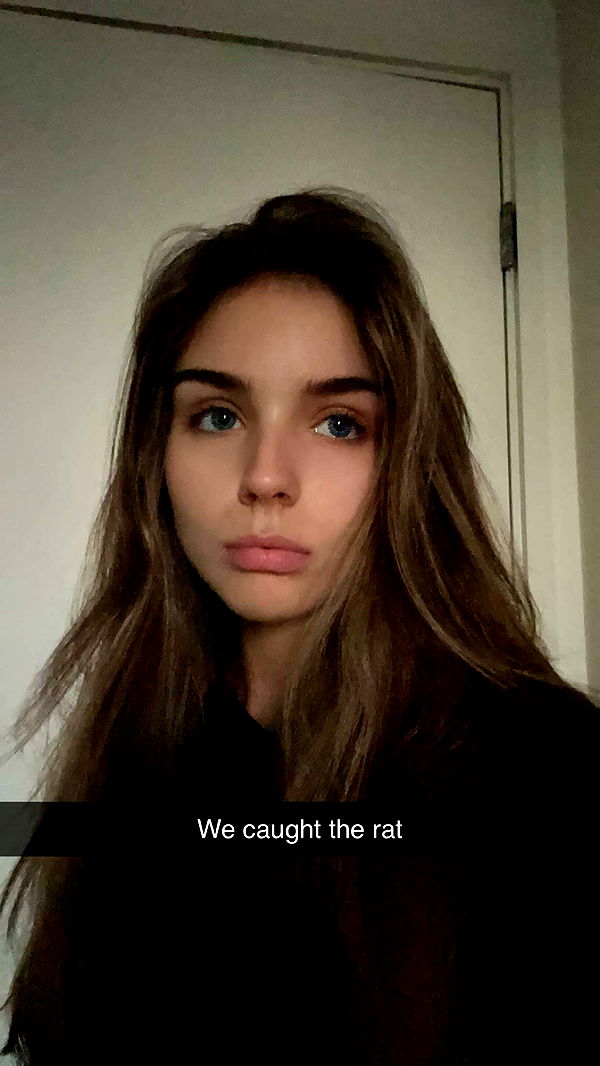 soph4ocean image ~ Altpins