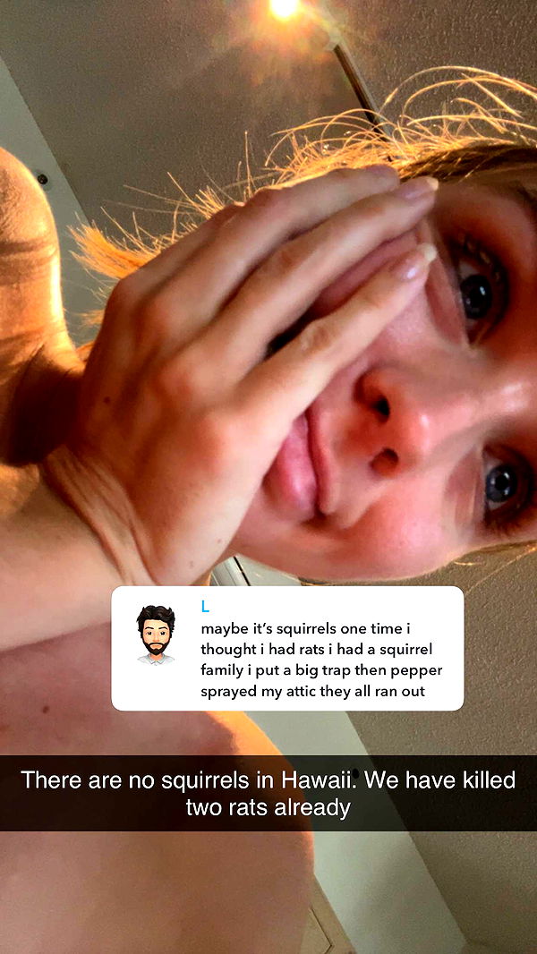 soph4ocean image ~ Altpins