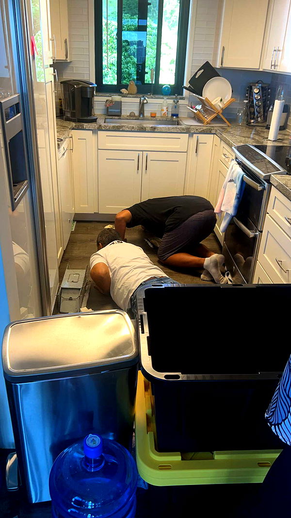 soph4ocean image ~ Altpins