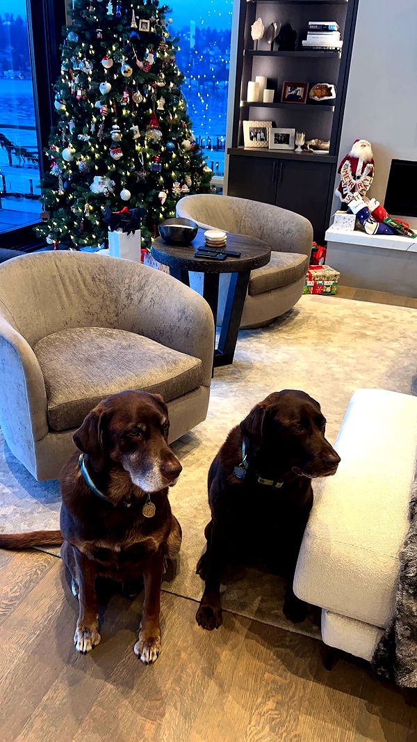 soph4ocean image ~ Altpins