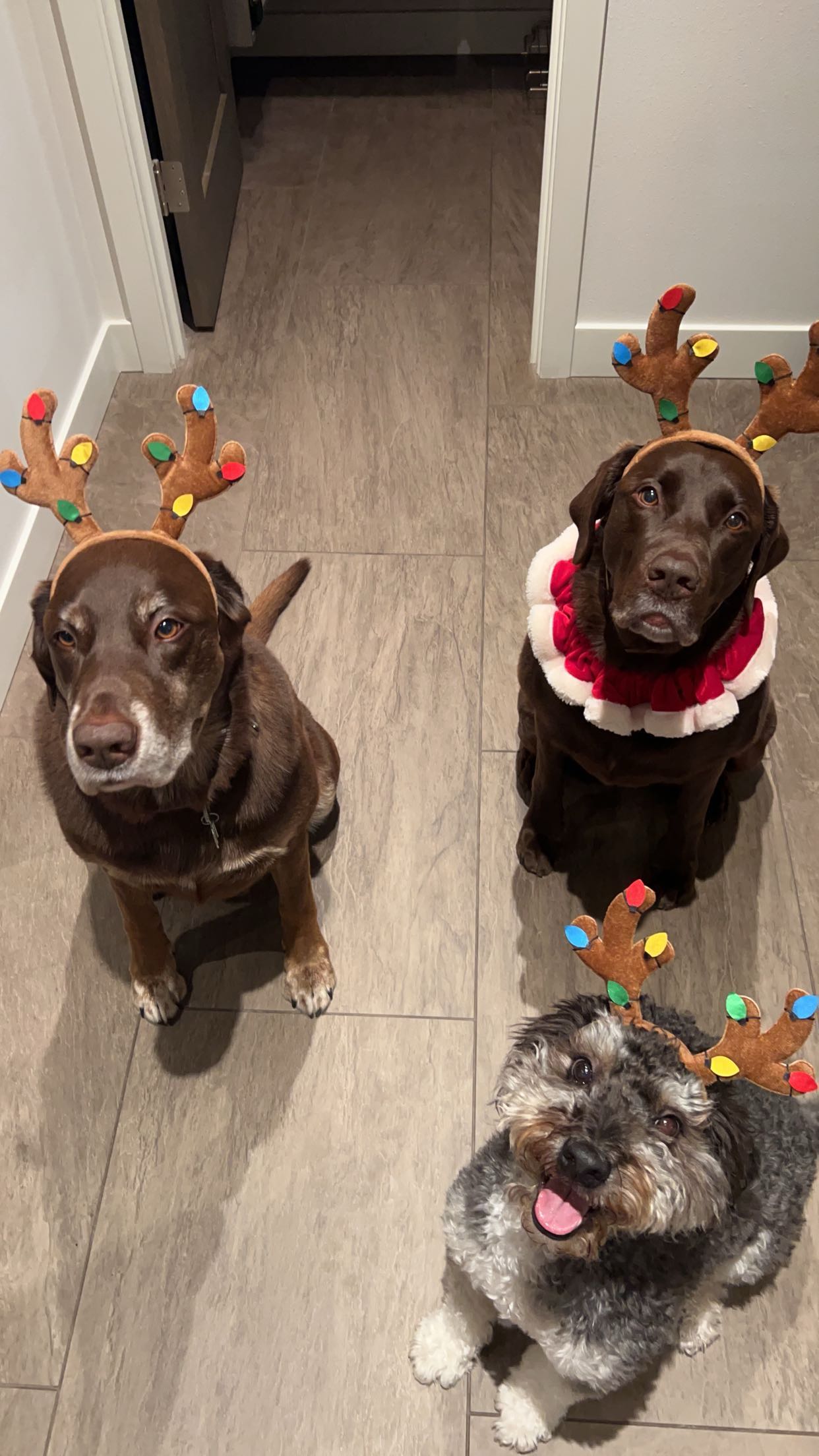 soph4ocean snapchat image archive image