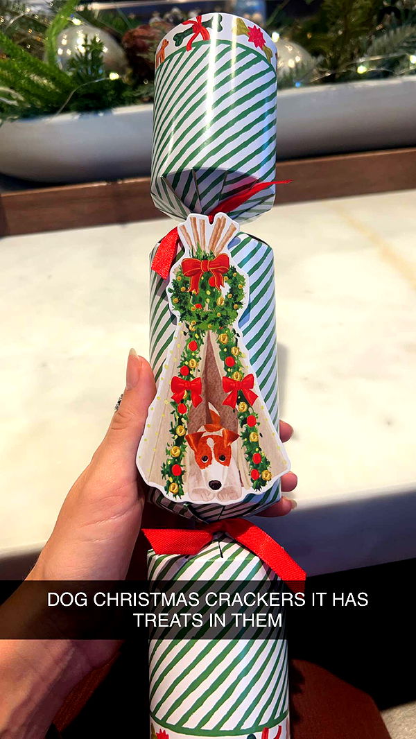 soph4ocean image ~ Altpins