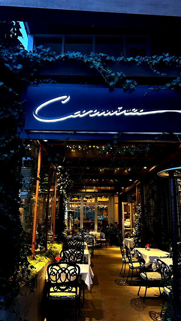 soph4ocean image ~ Altpins