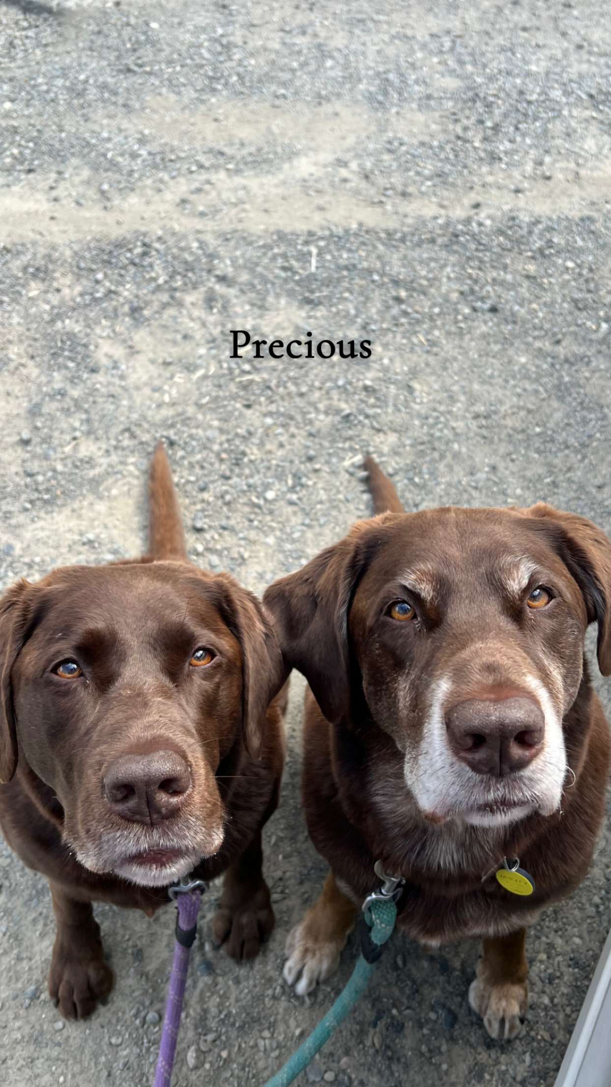 soph4ocean snapchat image archive image