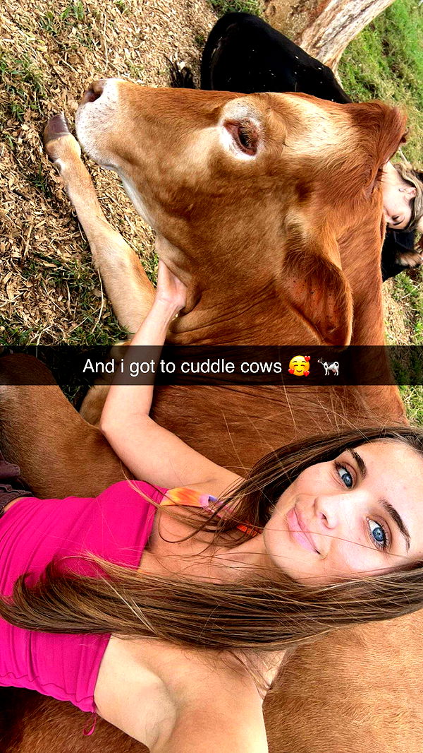 soph4ocean image ~ Altpins