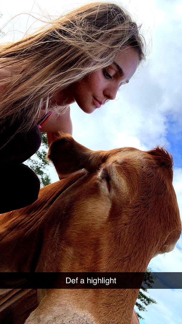 soph4ocean image ~ Altpins