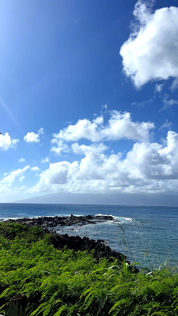 soph4ocean image ~ Altpins