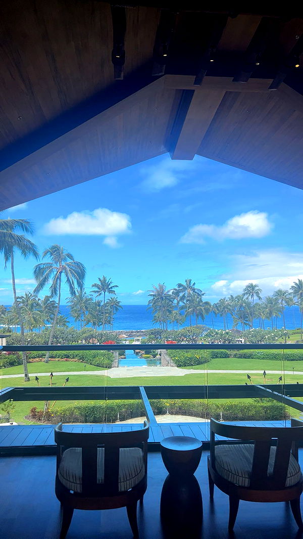 soph4ocean image ~ Altpins