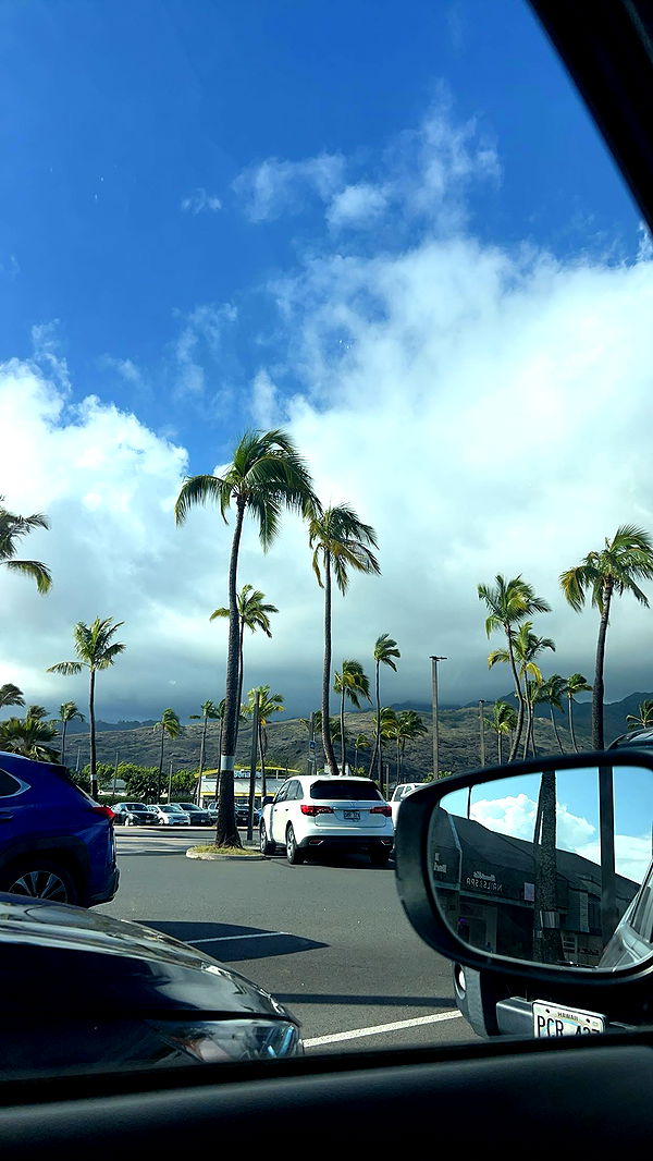 soph4ocean image ~ Altpins