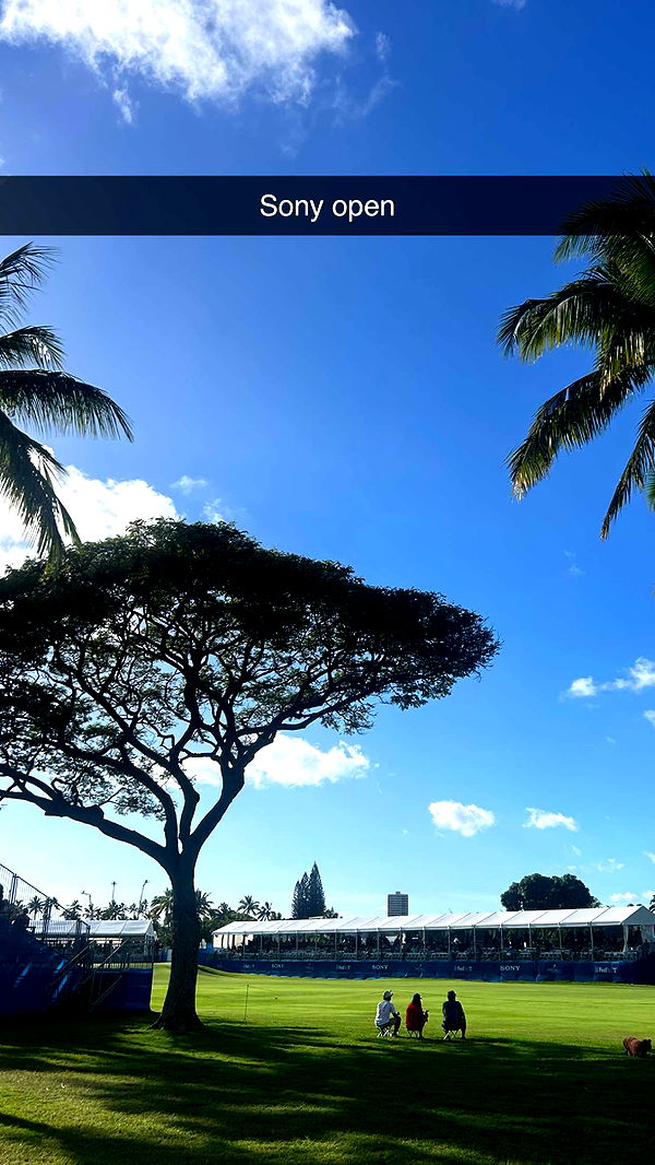 soph4ocean image ~ Altpins