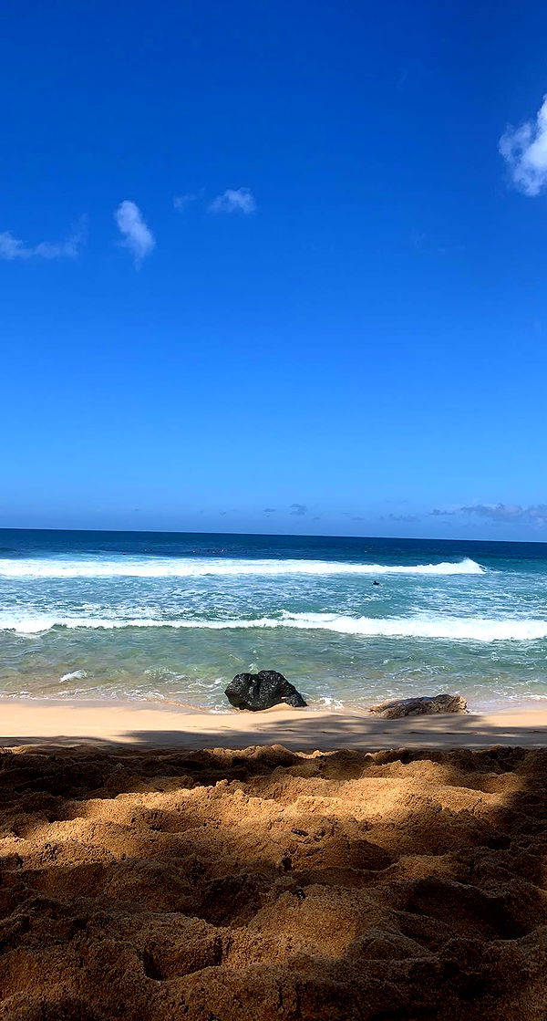 soph4ocean image ~ Altpins