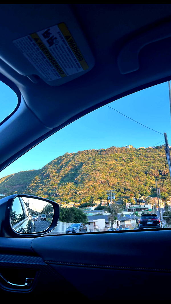 soph4ocean image ~ Altpins